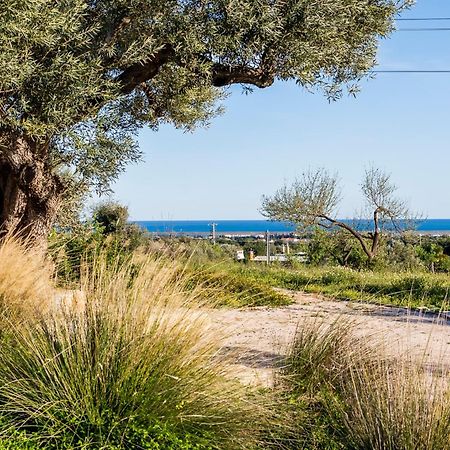 Quinta Da Baleeira Βίλα Ταβίρα Εξωτερικό φωτογραφία