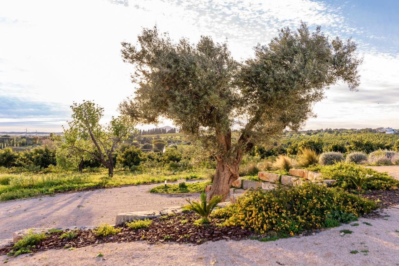 Quinta Da Baleeira Βίλα Ταβίρα Εξωτερικό φωτογραφία
