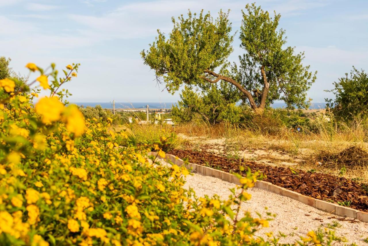 Quinta Da Baleeira Βίλα Ταβίρα Εξωτερικό φωτογραφία
