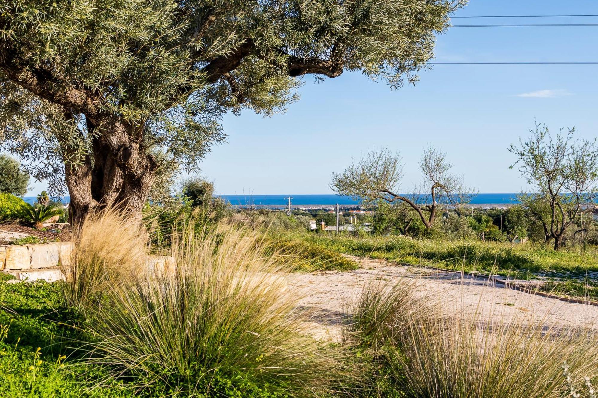 Quinta Da Baleeira Βίλα Ταβίρα Εξωτερικό φωτογραφία